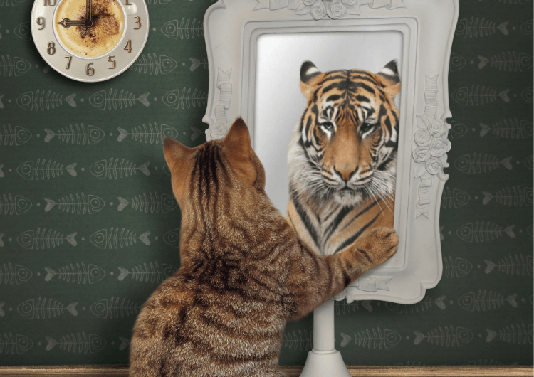 Un chat se regarde dans un miroir, où il voit le reflet d'un tigre.